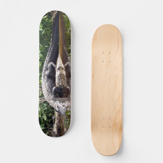 Florida Gator - Amerikaans Alligator Skateboard (Voorkant)