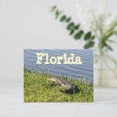 Florida Gator Briefkaart (Staand voorkant)