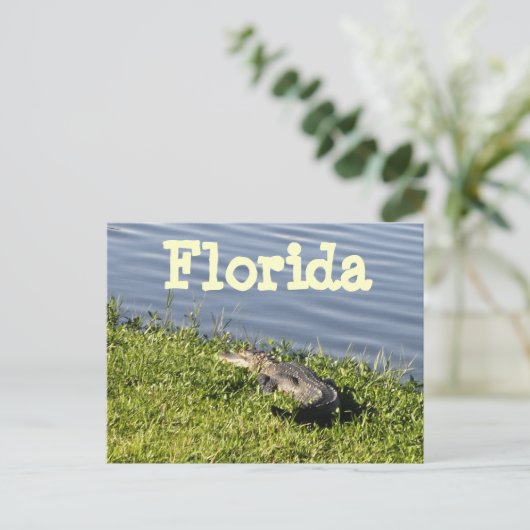 Florida Gator Briefkaart (Staand voorkant)