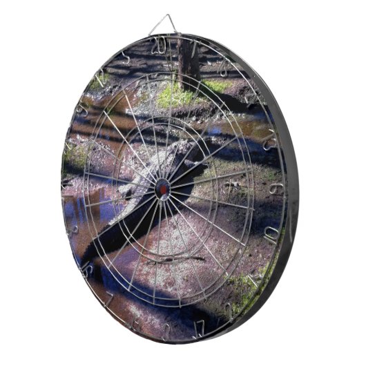 Florida Gator Dartbord (Voorkant Rechts)