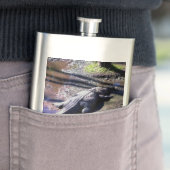 Florida Gator Flacon (Voorbeeld)