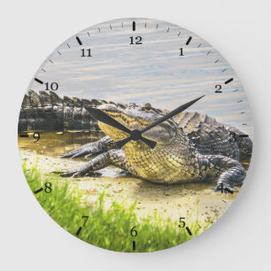 Florida gator grote klok