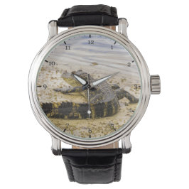 Florida gator horloge