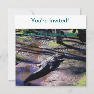 Florida Gator Kaart