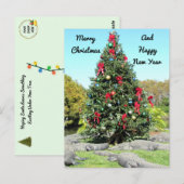 Florida Gator Kerstboom Briefkaart (Voorkant / Achterkant)