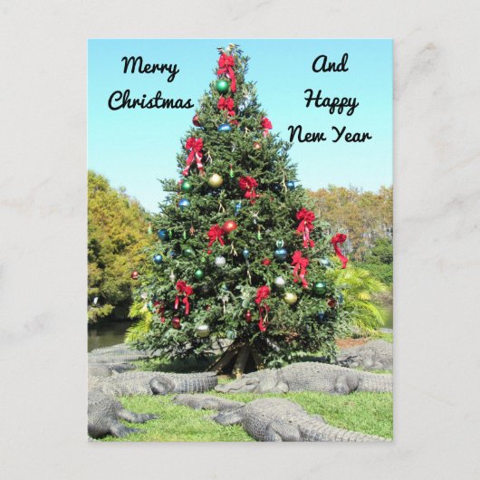 Florida Gator Kerstboom Briefkaart (Voorkant)