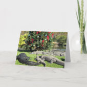Florida Gator Kerstmis Feestdagen Kaart (Voorkant)