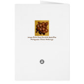 Florida Gator Poop Chocolate Specialty-kaart (Achterkant)