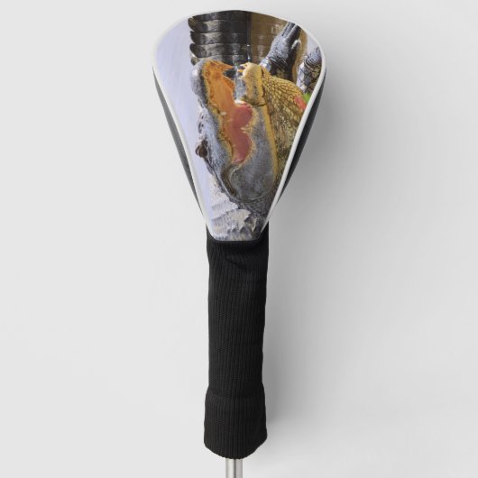 Florida Gator portret Golfheadcover (Voorkant)