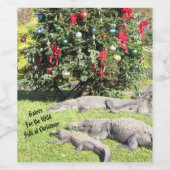 Florida Gators Christmas Wine Label Wijn Etiket (Enkel label)