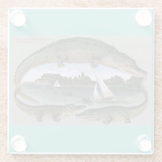   Florida Gators onderzetters. Tampa-alligators Glazen Onderzetter (Achterkant)