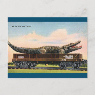 Florida Giant Alligator Vintage Travel Briefkaart