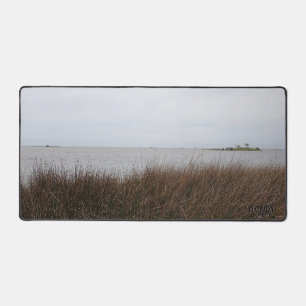 Florida Golfkust Afschrikwekkende Needlerush foto Bureaumat