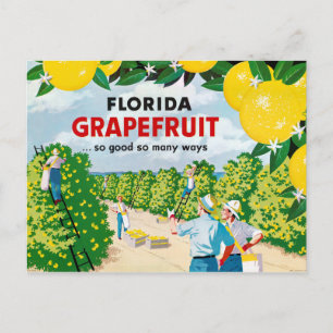 Florida Grapefruit 1930s Vintage Poster Briefkaart