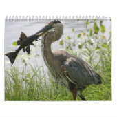 FLORIDA GREAT BLUE HERON KALENDER (Hoes)