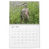 FLORIDA GREAT BLUE HERON KALENDER (Mar 2027)