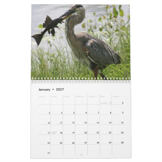 FLORIDA GREAT BLUE HERON KALENDER (Jan 2027)