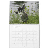 FLORIDA GREAT BLUE HERON KALENDER (Feb 2027)