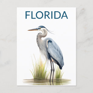 Florida Great Blue Heron Vogelreis Briefkaart