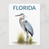 Florida Great Blue Heron Vogelreis Briefkaart (Voorkant)