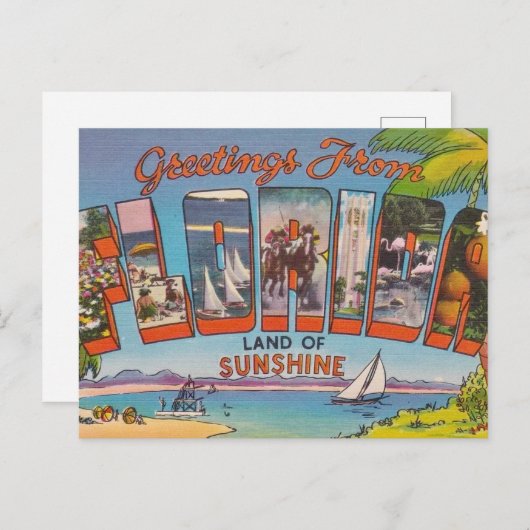 Florida Greetings Briefkaart (Voorkant / Achterkant)