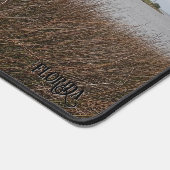 Florida Gulf Beach Verbieden Needlerush foto Bureaumat (Hoek)