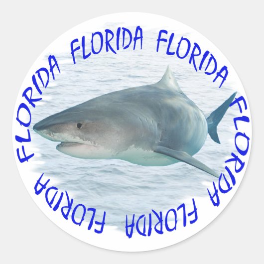 Florida-haai Ronde Sticker (Voorkant)