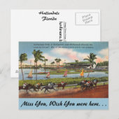 Florida, Hallendale, Gulfstream Park Briefkaart (Voorkant / Achterkant)