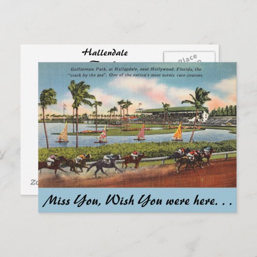 Florida, Hallendale, Gulfstream Park Briefkaart (Voorkant / Achterkant)