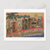 Florida - Het land van de zon Briefkaart (Voorkant)