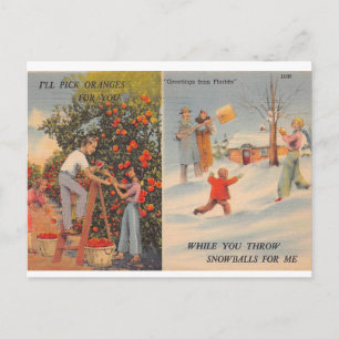 Florida in de winter briefkaart