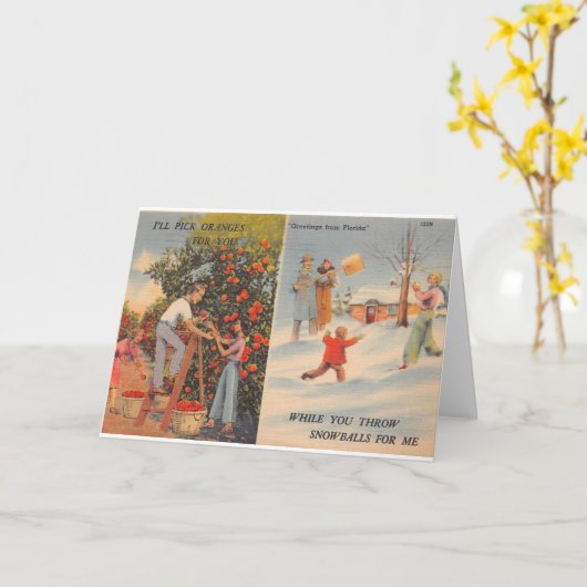 Florida in de winter kaart (Gele Bloem)