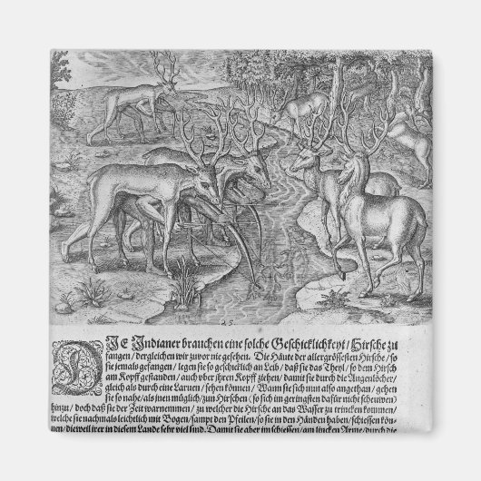 Florida Indiërs jagen op herten Magneet (Voorkant)