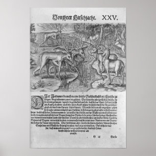 Florida Indiërs jagen op herten Poster