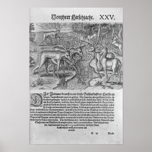 Florida Indiërs jagen op herten Poster (Voorkant)
