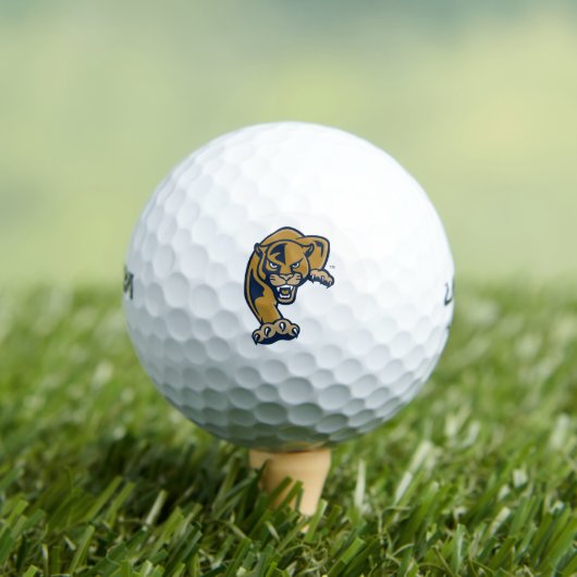 Florida International University Panthers Golfballen (Insitu Shirt)