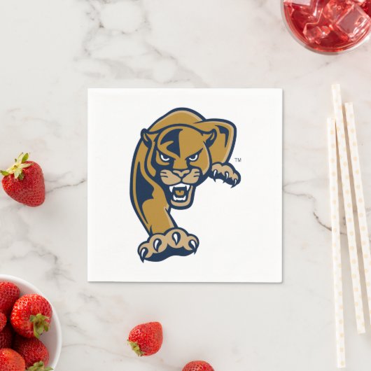 Florida International University Panthers Servet (Insitu)