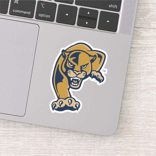 Florida International University Panthers Sticker (Detail)