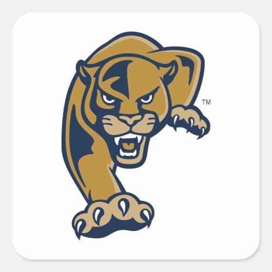 Florida International University Panthers Vierkante Sticker (Voorkant)