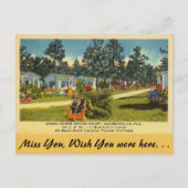 Florida, Jacksonville, Green Acres Briefkaart (Voorkant)