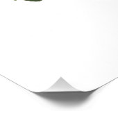 Florida Jay door John James Audubon Foto Afdruk (Hoek)