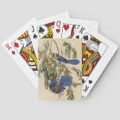 Florida Jay (Scrub-Jay) Audubon's vogels in Amerik Pokerkaarten (Achterkant)