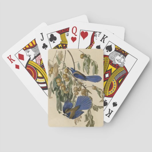 Florida Jay (Scrub-Jay) Audubon's vogels in Amerik Pokerkaarten (Achterkant)