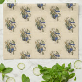 Florida Jay (Scrub-Jay) Audubon's vogels in Amerik Theedoek (Gevouwen)