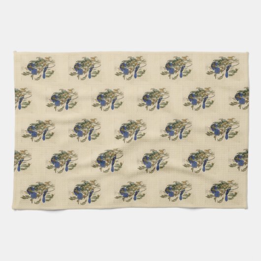 Florida Jay (Scrub-Jay) Audubon's vogels in Amerik Theedoek (Horizontaal)