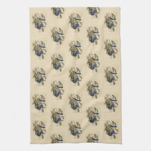 Florida Jay (Scrub-Jay) Audubon's vogels in Amerik Theedoek (Verticaal)