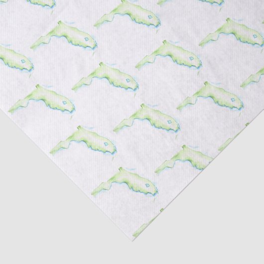 Florida Kaart Waterverf Pattern Beach Tissuepapier (Detail)