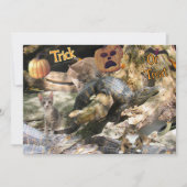 Florida Kat en Alligator Platte Wenskaart Feestdagenkaart (Voorkant)