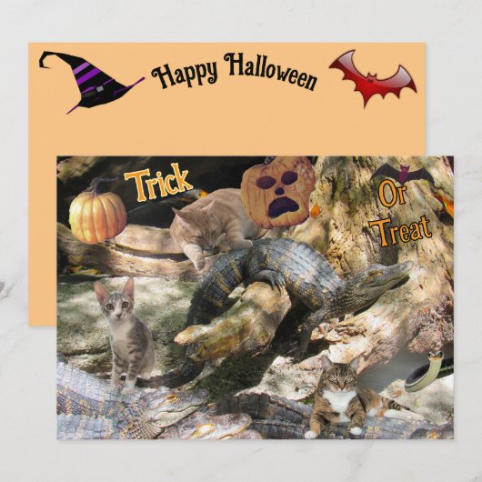 Florida Kat en Alligator Platte Wenskaart Feestdagenkaart (Voorkant / Achterkant)