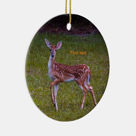 Florida Key herder Juvenile-grafie Keramisch Ornament (Rechts)